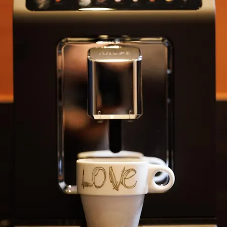 Le Palais De Leo Luxury Hyper Center 4p Balcony Ac דירה *