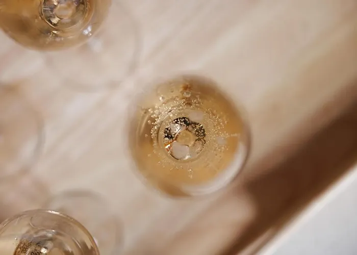 Le Palais De Leo Luxury Hyper Center 4p Balcony Ac Apartment Epernay